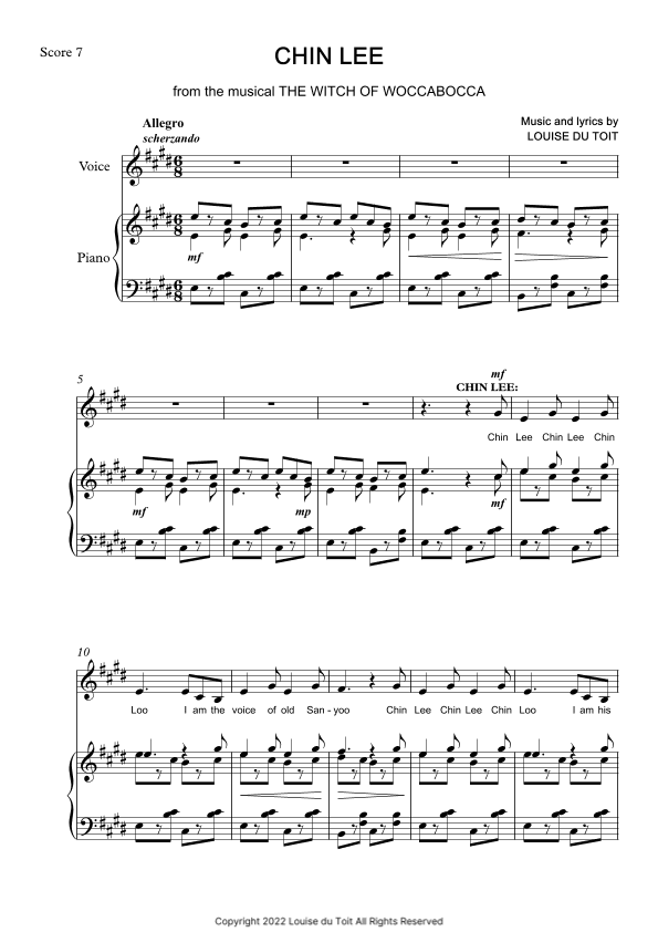 The Witch of Woccabocca - Chin Lee