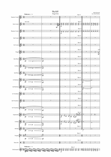 Skyfall (arr. Chris Howley)