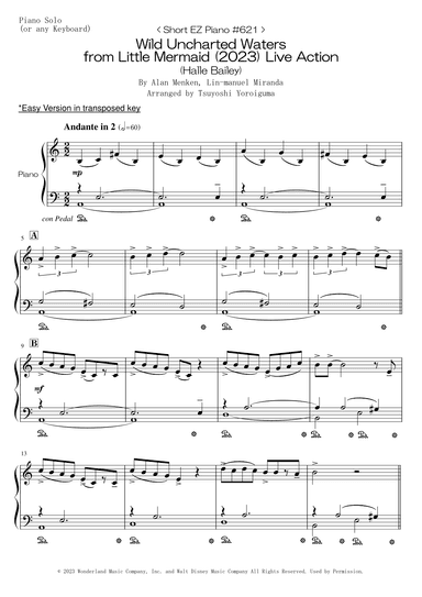 Wild Uncharted Waters (arr. Tsuyoshi Yoroiguma)