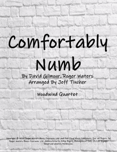 Comfortably Numb (arr. Jeff Tincher)
