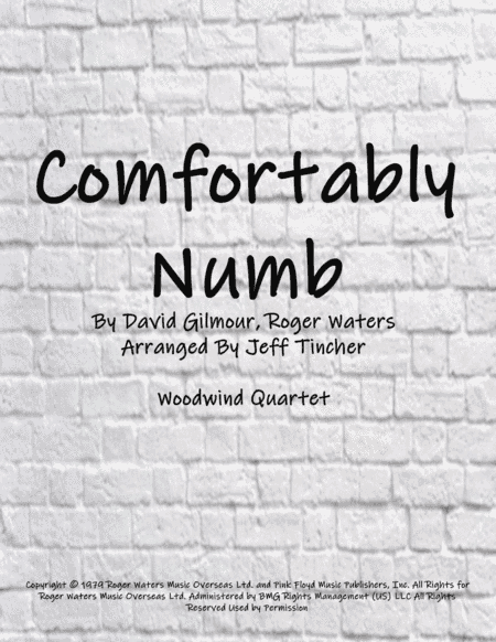 Comfortably Numb (arr. Jeff Tincher)