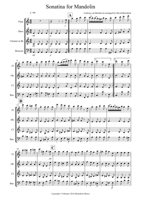Sonatina by Beethoven for Wind Quartet (arr. David Burndrett)