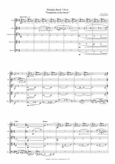 Preludes Book 1 No.6 "Footprints in the Snow" (arr. Armin Terzer)