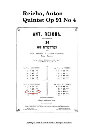 Wind Quintet Op 91 No 4 - Movement 1: Andante. Allegro Assai (arr. Adrian Barnes)