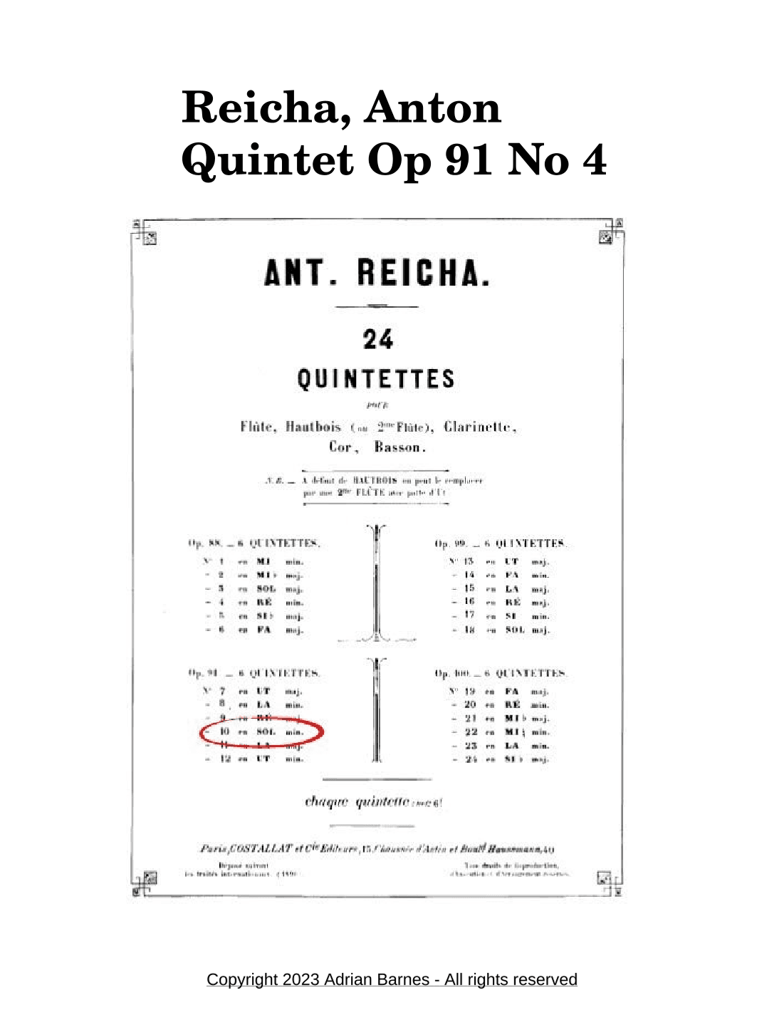 Wind Quintet Op 91 No 4 - Movement 1: Andante. Allegro Assai (arr. Adrian Barnes)