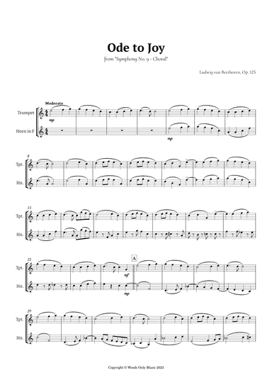 Ode to Joy by Beethoven for Trumpet and French Horn Duet (arr. Ander)