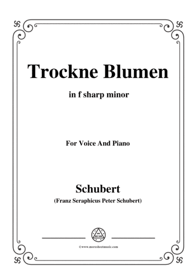 Schubert-Trockne Blumen,from 'Die Schöne Müllerin',Op.25 No.18,in f sharp minor,for Voice&Piano (arr. MSM)