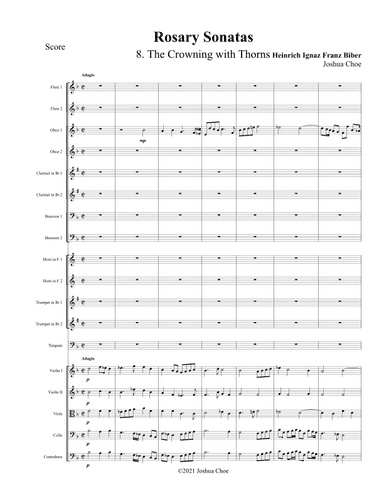 Rosary Sonatas: The Crowning with Thorns (arr. Joshua Choe)