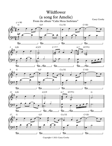 Wildflower (a song for Amelie)