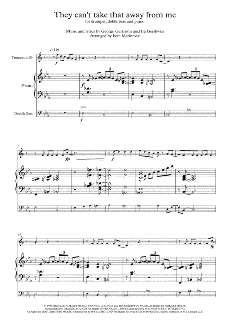 They Can't Take That Away From Me  from THE BARKLEYS OF BROADWAY  from SHALL WE DANCE (arr. Ivan Marinovic)