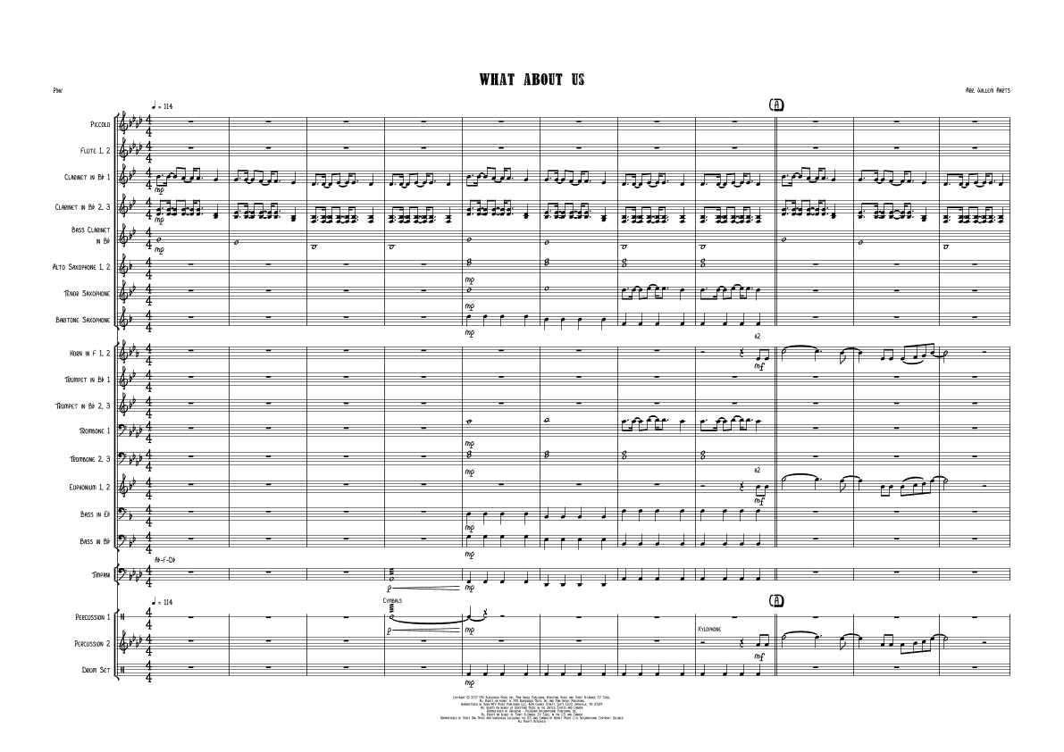 What About Us (arr. Willem Aarts)