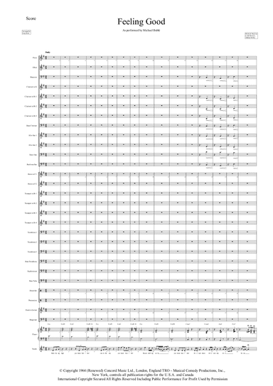 Feeling Good (arr. Joop Derks)