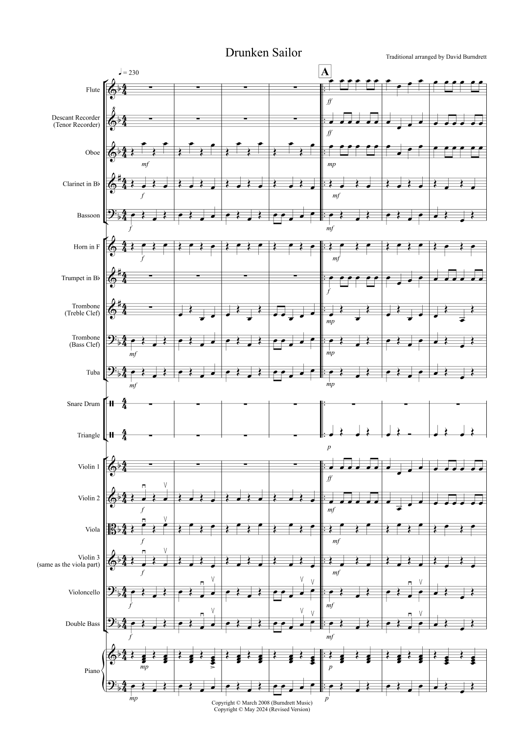 Drunken Sailor for School Orchestra (arr. David Burndrett)