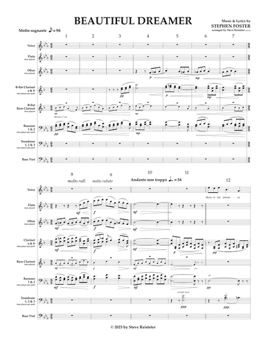 "Beautiful Dreamer" (arr. Steve Reisteter)