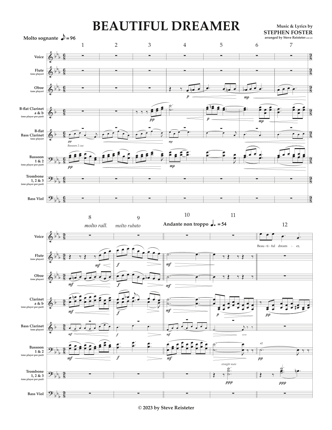 "Beautiful Dreamer" (arr. Steve Reisteter)