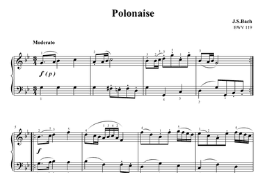 Bach Polonaise in G minor BWV 119 (arr. Ben Choupak)