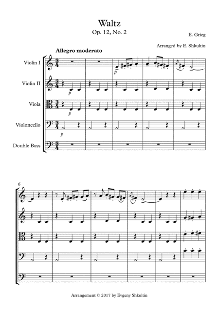 Waltz from ''Lyric Pieces'' Op.12, No.2 - for string orchestra (arr. Evgeny Shkultin)