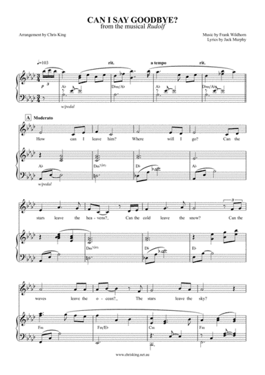 Can I Say Goodbye? (arr. Chris King)