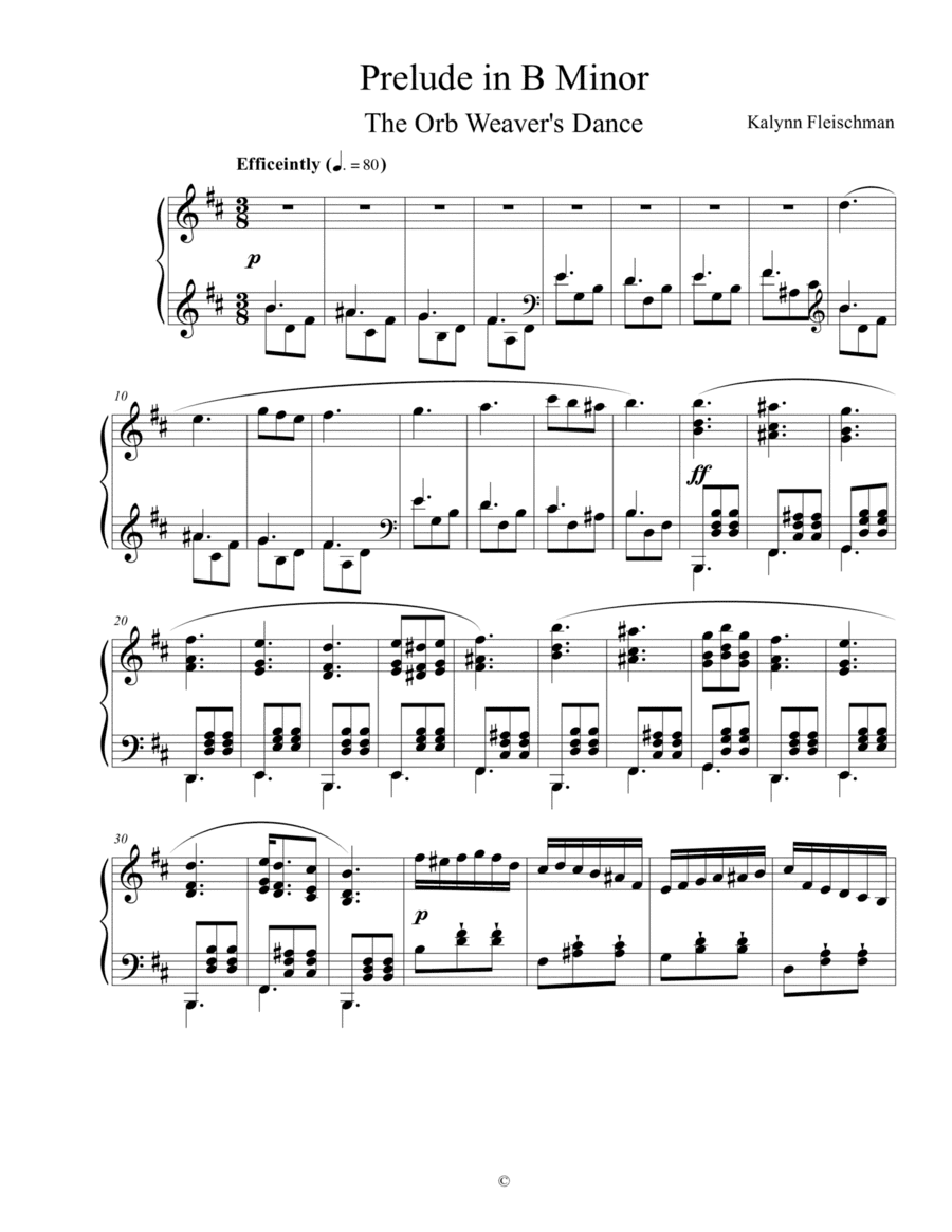 Prelude in B Minor: The Orb Weaver's Dance