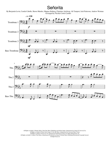 Senorita (arr. Nicolás Cortés Castillo)