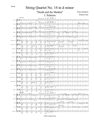 "Death and the Maiden" Quartet, Movement 3 (arr. Joshua Choe)