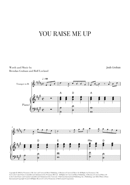 You Raise Me Up (arr. Cadenza Editions)