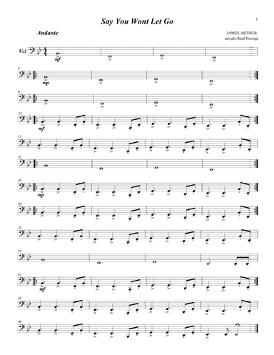 Say You Won't Let Go (arr. RAUL NORIEGA)