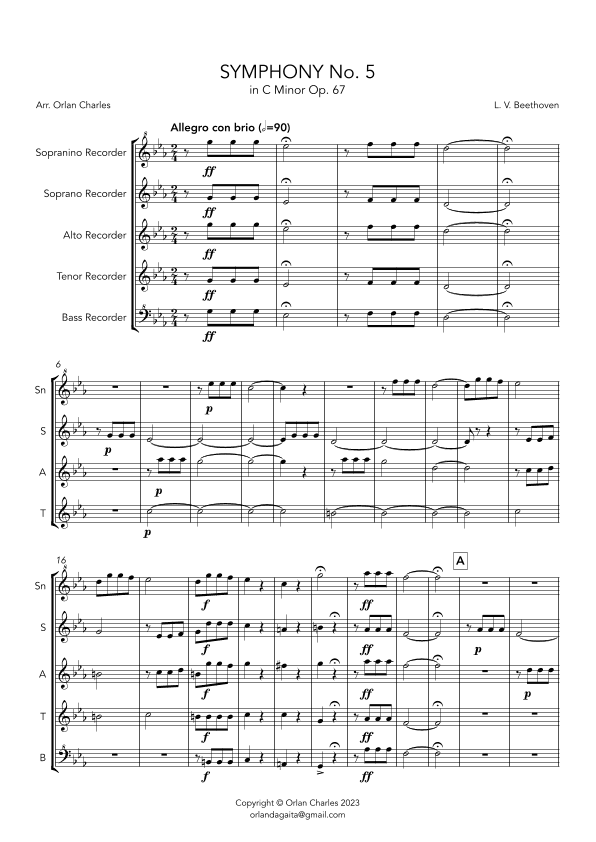Symphony No. 5 in C Minor - Op. 67 - 1st Movement - Allegro com brio (arr. Orlan Charles)