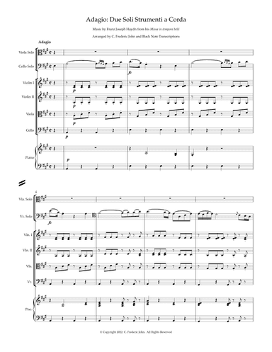 Adagio: Due Soli Strumenti a Corda (arr. C. Frederic John/Black Note Transcriptions)