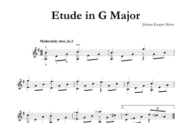 Etude in G Major (arr. Johann Kaspar Mertz)