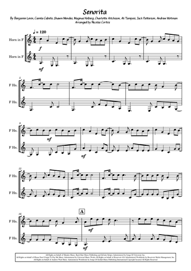 Senorita (arr. Nicolás Cortés Castillo)