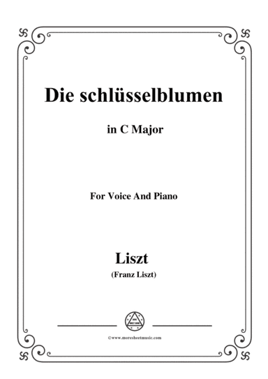 Liszt-Die schlüsselblumen in C Major,for Voice and Piano (arr. MSM)