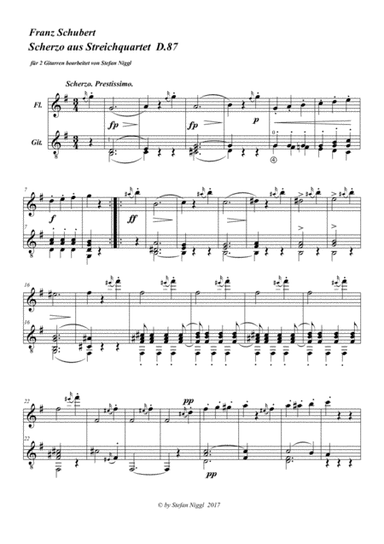 F.Schubert: Scherzo from String Quartet D.87 for Guitar and Flute (arr. Stefan Niggl)