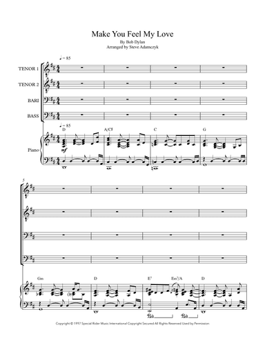 Make You Feel My Love (arr. Steve Adamczyk)