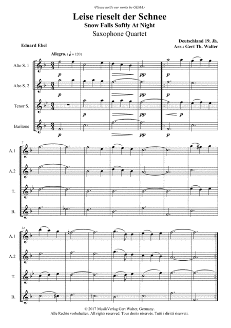 Snow Falls Softly At Night (arr. Gert Th. Walter)