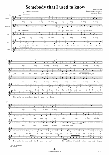 Somebody That I Used To Know (arr. Jetse Bremer)