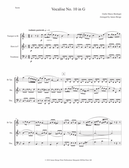 Vocalise No 10 in G (arr. James Bicigo)