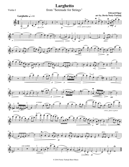Larghetto from Serenade for Strings (arr. Devin Neely-Turkalj)