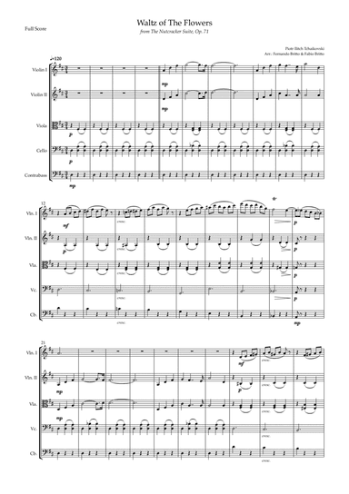 Waltz of The Flowers - from Nutcracker (P. I. Tchaikovsky) for String Quintet (arr. Fernando Britto, Fabio Britto)