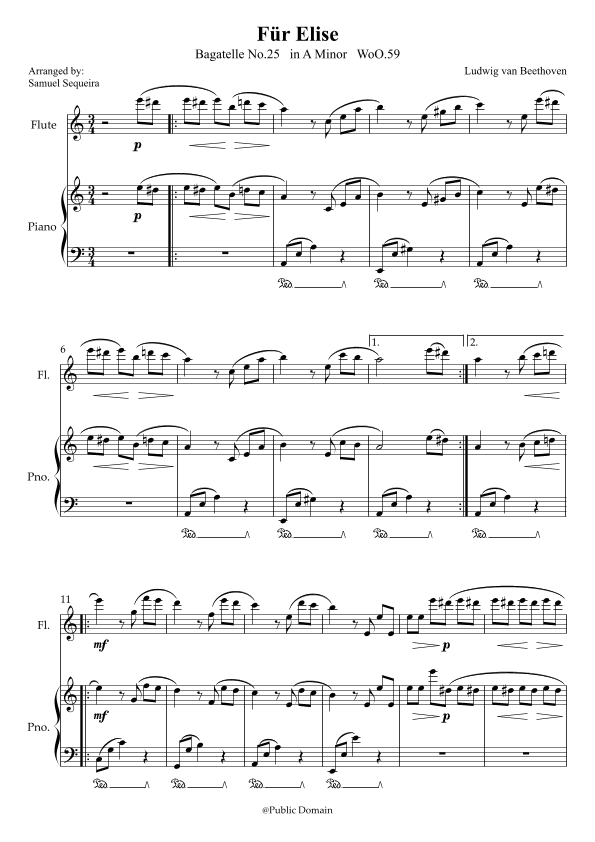 Für Elise (For Elise) - for Flute and Piano accompaniment - with Piano Play along (arr. Samuel Sequeira)