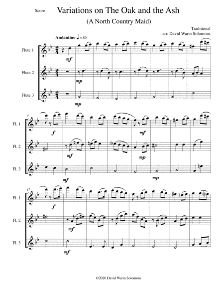 Variations on The Oak and the Ash (A north country Maid) for flute trio (3 C flutes) (arr. David Warin Solomons)