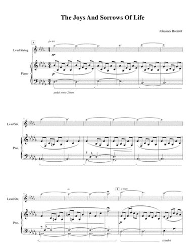 The Joys and Sorrows of Life