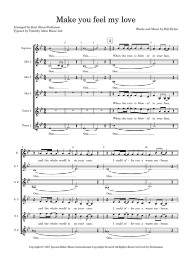Make You Feel My Love (arr. Kari Olsen-Porthouse)