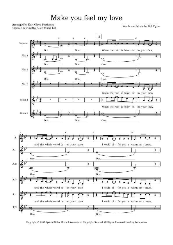 Make You Feel My Love (arr. Kari Olsen-Porthouse)