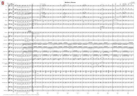 Blackberry Blossom (for mixed school orchestra) (arr. Jan Angermüller)