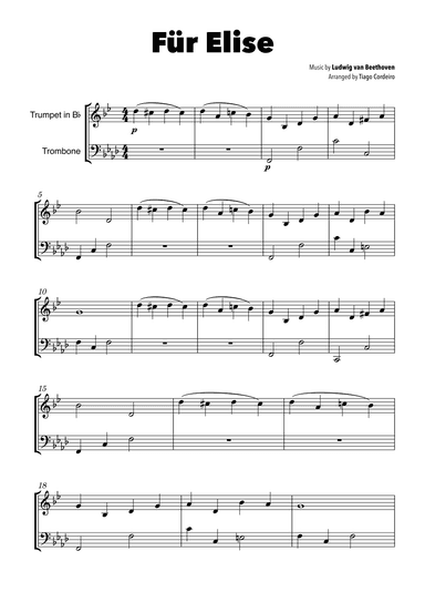 Für Elise (arr. Tiago Cordeiro)