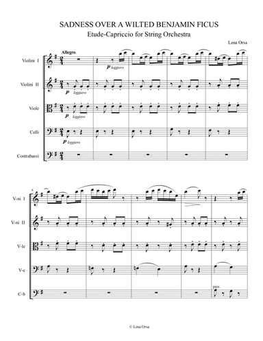 Sadness Over a Wilted Benjamin Ficus for String Orchestra