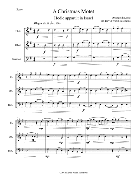 Christmas Motet (Hodie apparuit in Israel) for wind trio (arr. David Warin Solomons)