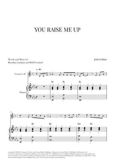 You Raise Me Up (arr. Cadenza Editions)
