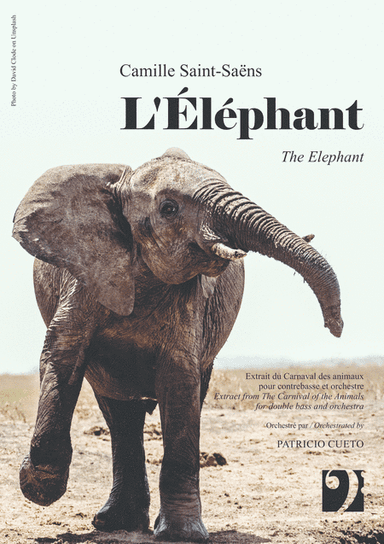 L'Éléphant (The Elephant) - for Double Bass solo and orchestra (arr. Patricio Cueto)